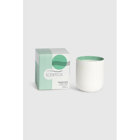 Scentica Ceramic Soy Blend Candle 300g - Pistachio Santal