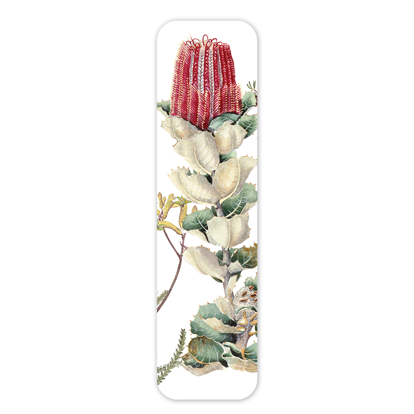 Studio Nikulinsky Bookmark: Scarlet Banksia