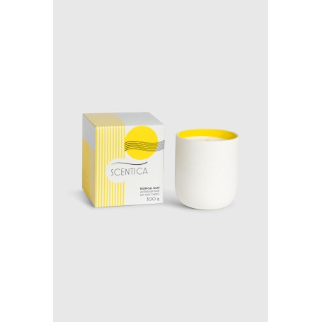 Scentica Cearmic Soy Blend Candle 300g - Tropical Oasis