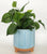 Zari Planter Dusty Blue - Large