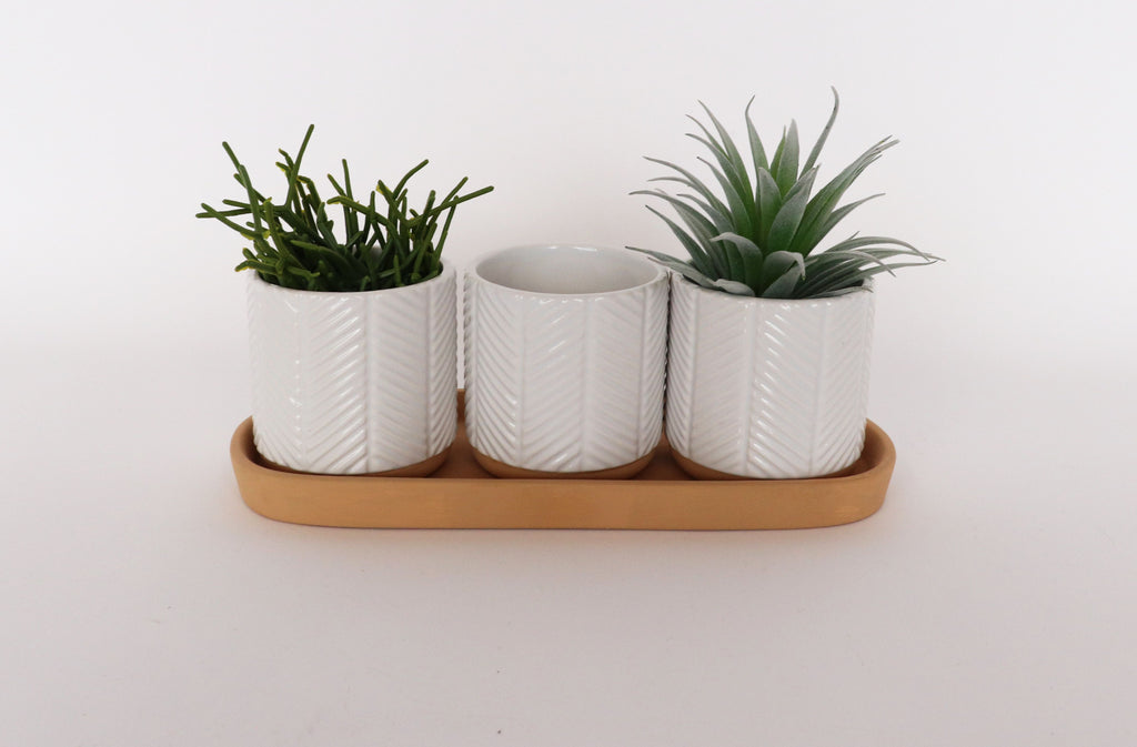 Zari Planters on Saucer White