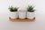 Zari Planters on Saucer White