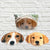 Coasters Dogs 2 Assorted Set/4