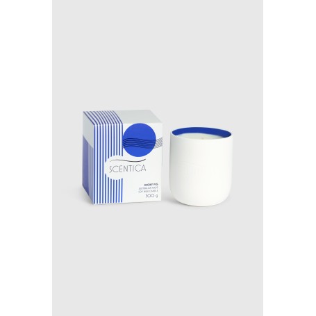 Scentica Ceramic Soy Blend Candle 300g - Smoky Fig