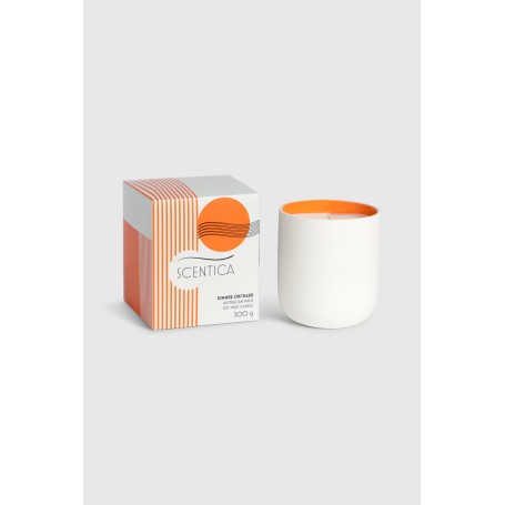 Scentica Ceramic Soy Blend Candle 300g - Summer Orchard