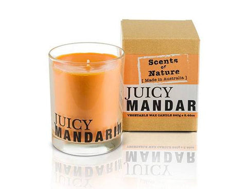 Juicy Mandarin Candle 240g By Scents Of Nature