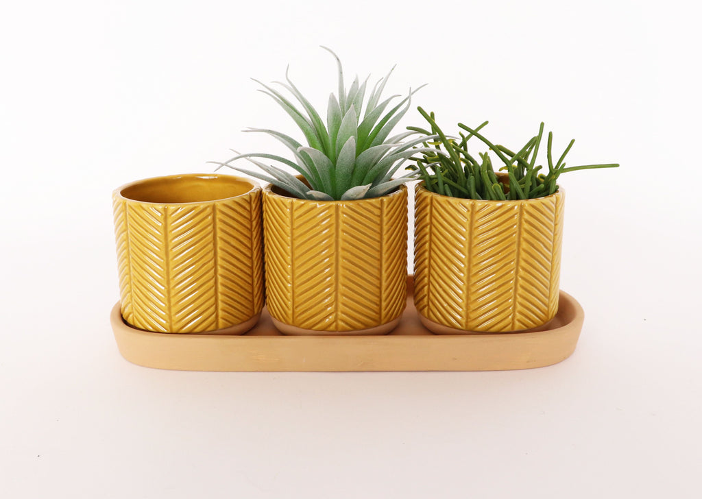 Zari Planters on Saucer Mustard